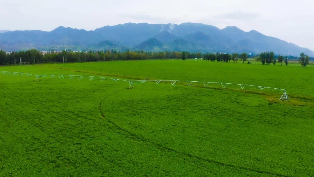 铭记关怀感恩奋进——牢记总书记嘱托交出首府亮丽答卷