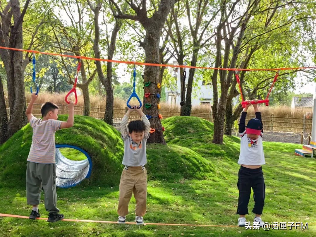 ​“赵”亮梦想，“巷”往成功，6000年崧泽水土之上，数字干线蓄势待发
