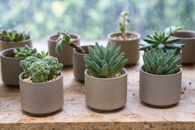 现金藏在家里哪个位置最安全,大量现金藏在家里什么地方最安全