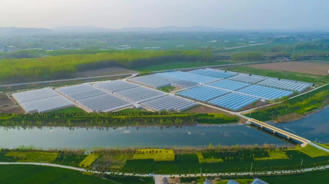 乡村产业发展的特征、规律和路径（深度阅读）