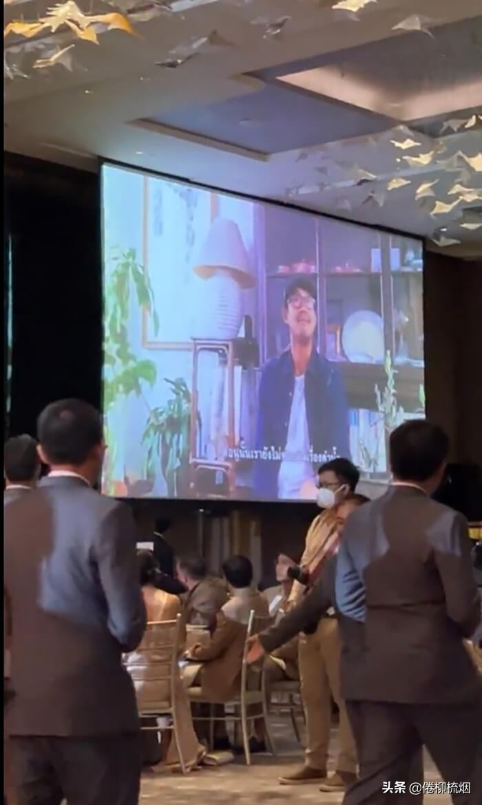 泰星weir和vichy,weir和vicky的日常