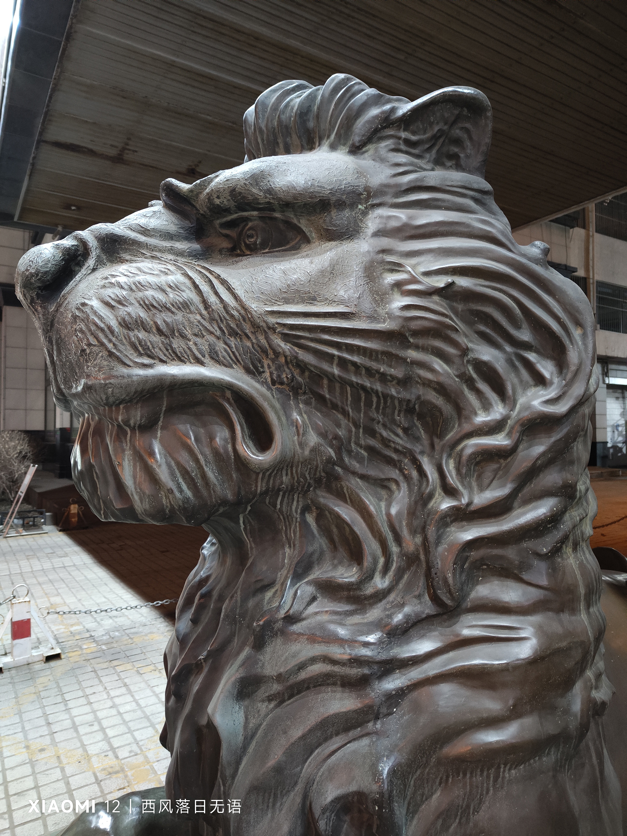 小米12值得现在入手嘛,小米12哪个更值得入手