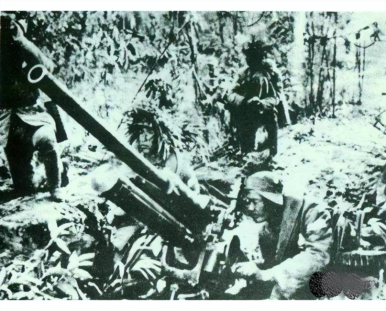 二营长的意大利炮到底长什么样子,二连长的意大利炮是怎么来的