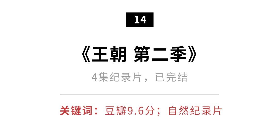 最新豆瓣推荐,推荐比较好看的片豆瓣9.9