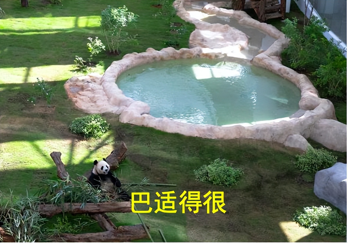 卡塔尔世界杯你要知道的,关于卡塔尔世界杯的小知识