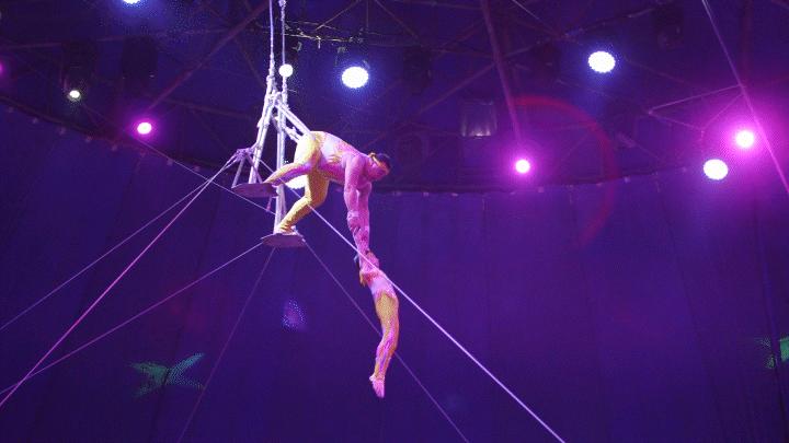 新节目表演,新综艺震撼来袭