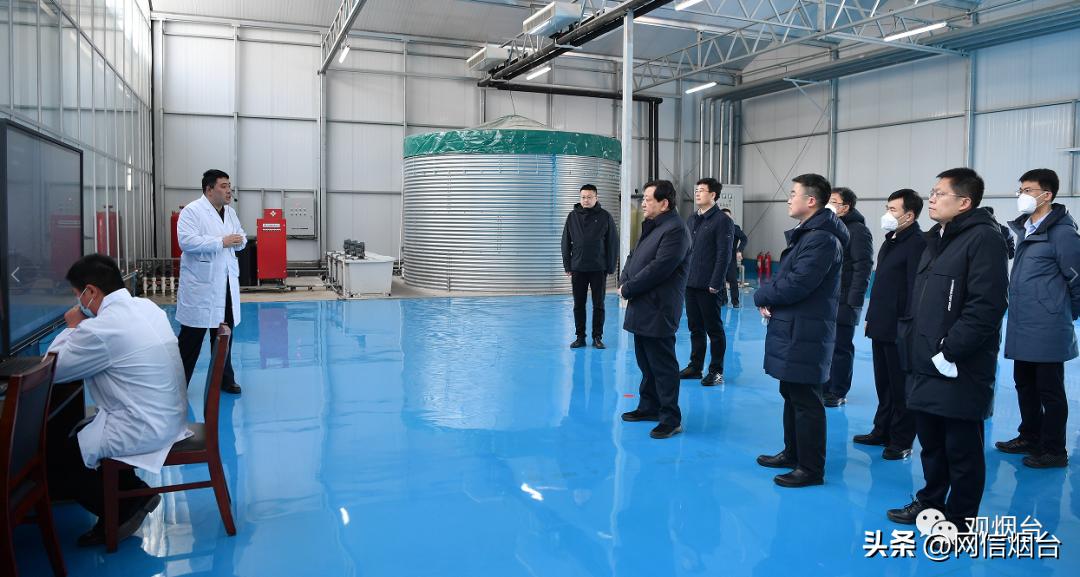 烟台苹果苗哪个最好栽,烟台地区苹果树苗新品种