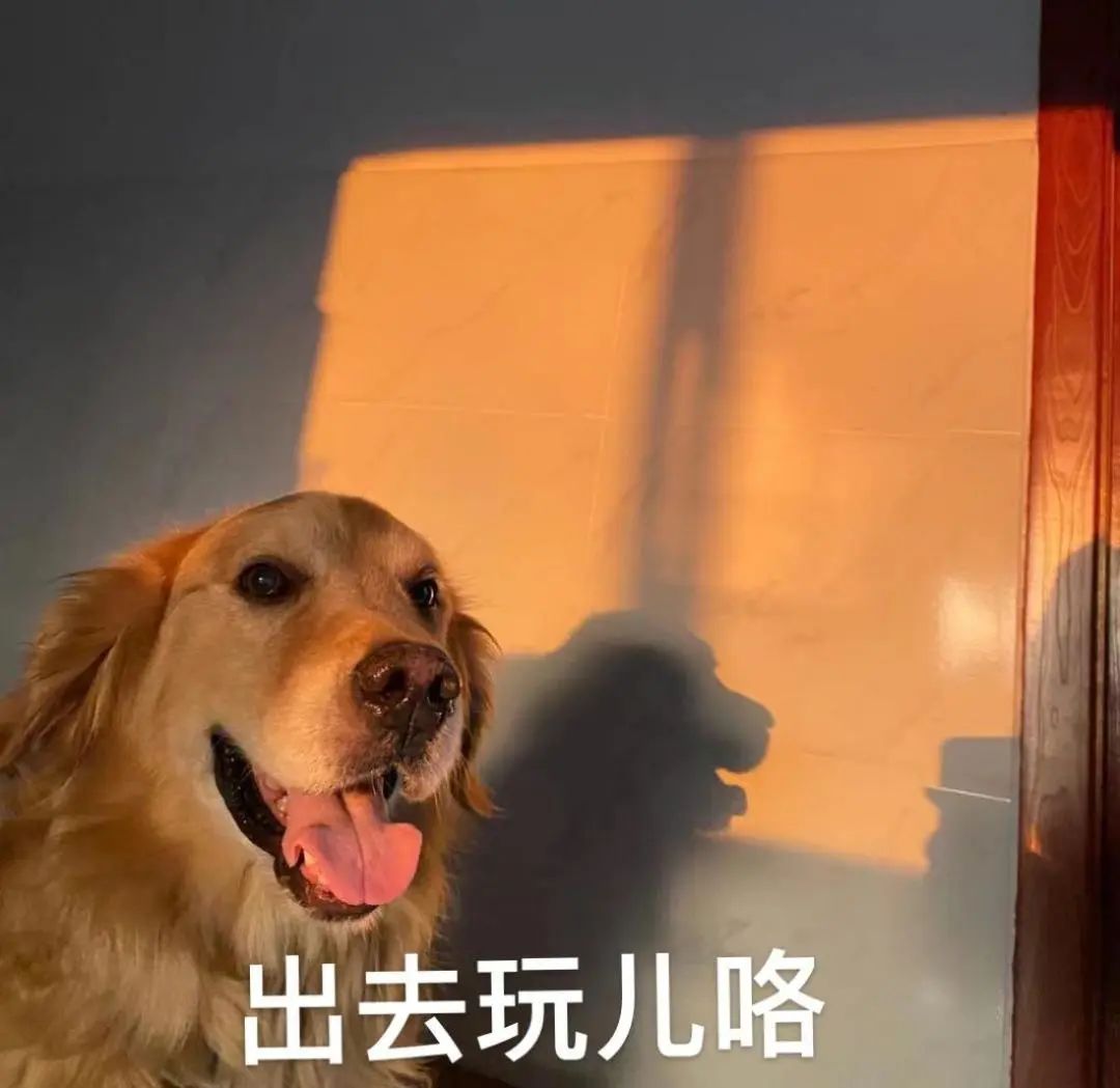 深圳24小时港澳自助办证一体机,深圳如何快速办理香港签注