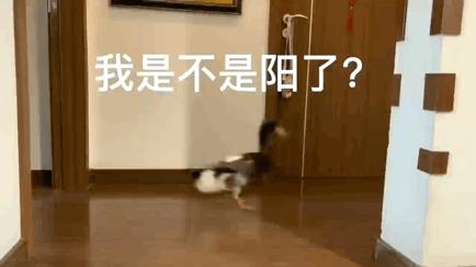 为何感染过新冠后容易生病,感染新冠后你出现了哪些后遗症