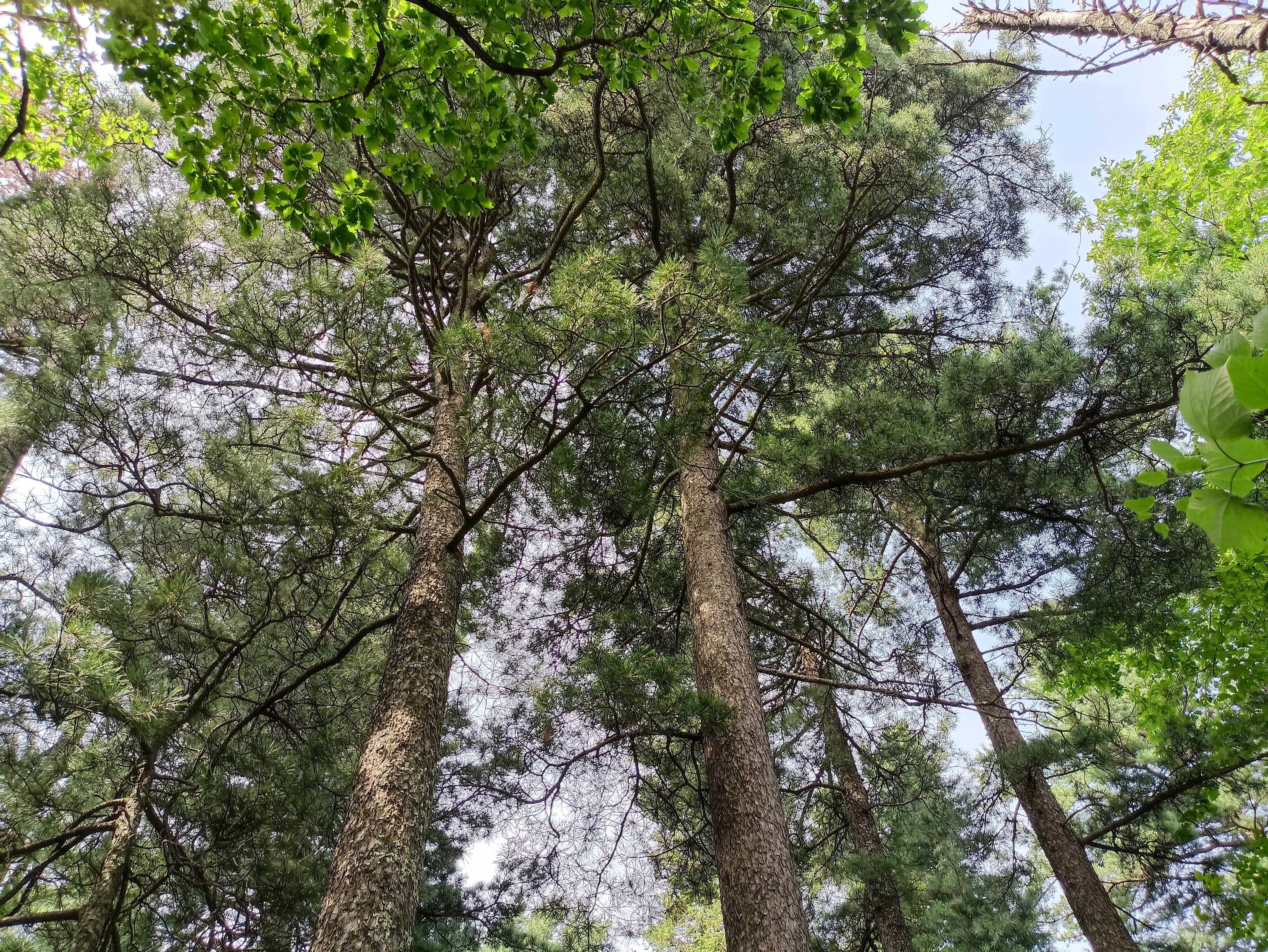 活着真好完整,活着真好原创作品