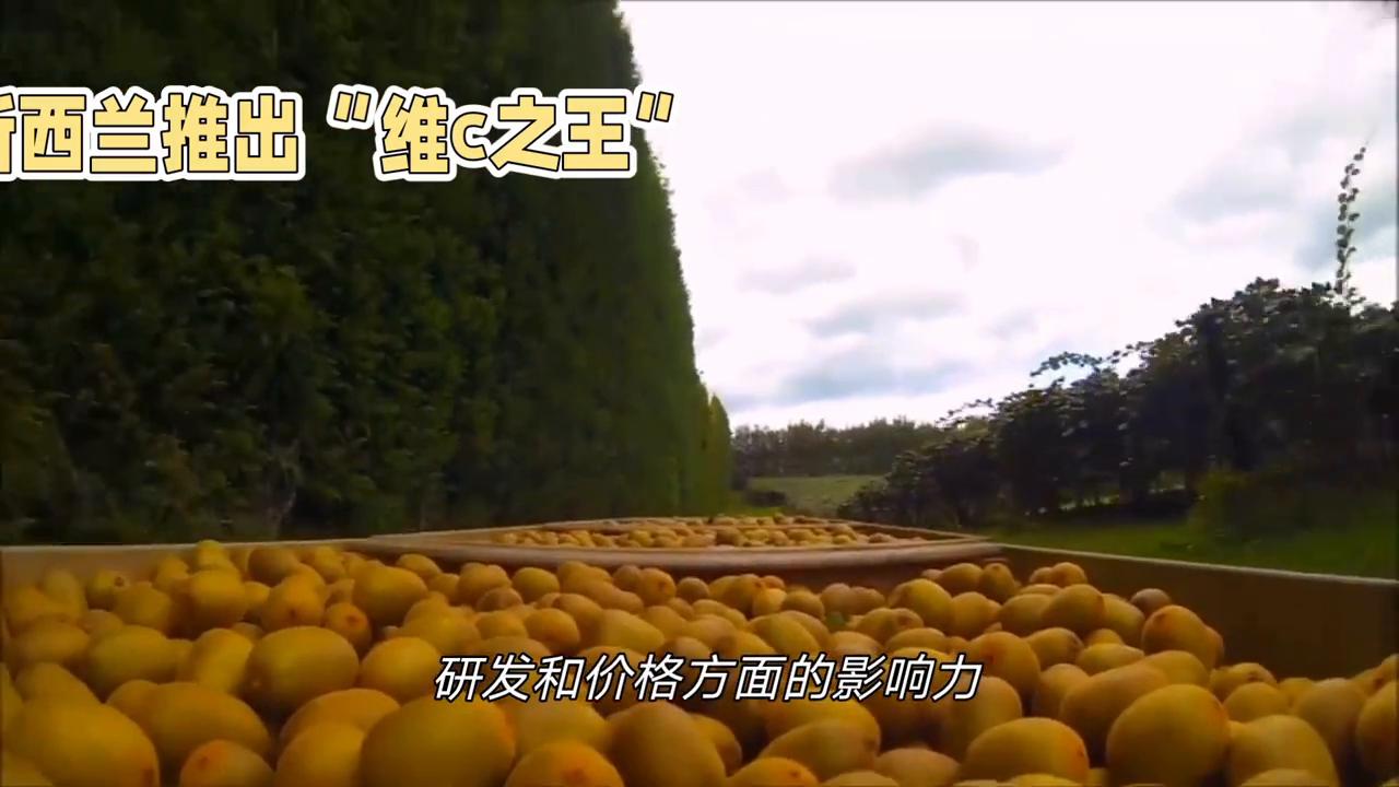 抖音下载,抖音热歌