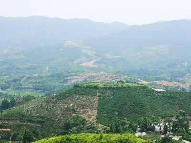 河南省卫辉市,河南卫辉是哪