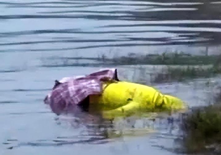 20年前树林无名女尸,96年长江漂浮女尸重庆段未认领