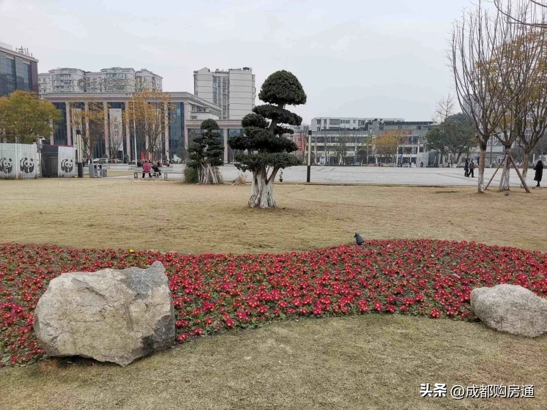 双流80多平米楼盘现房在售,双流总价15万左右公寓精装现房