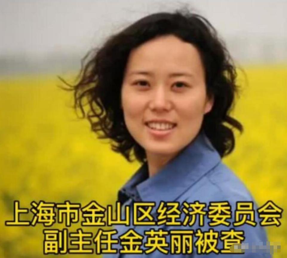 美女贪官金英丽：被三名富商*养包**，竟随身携带8只套方便开房受贿