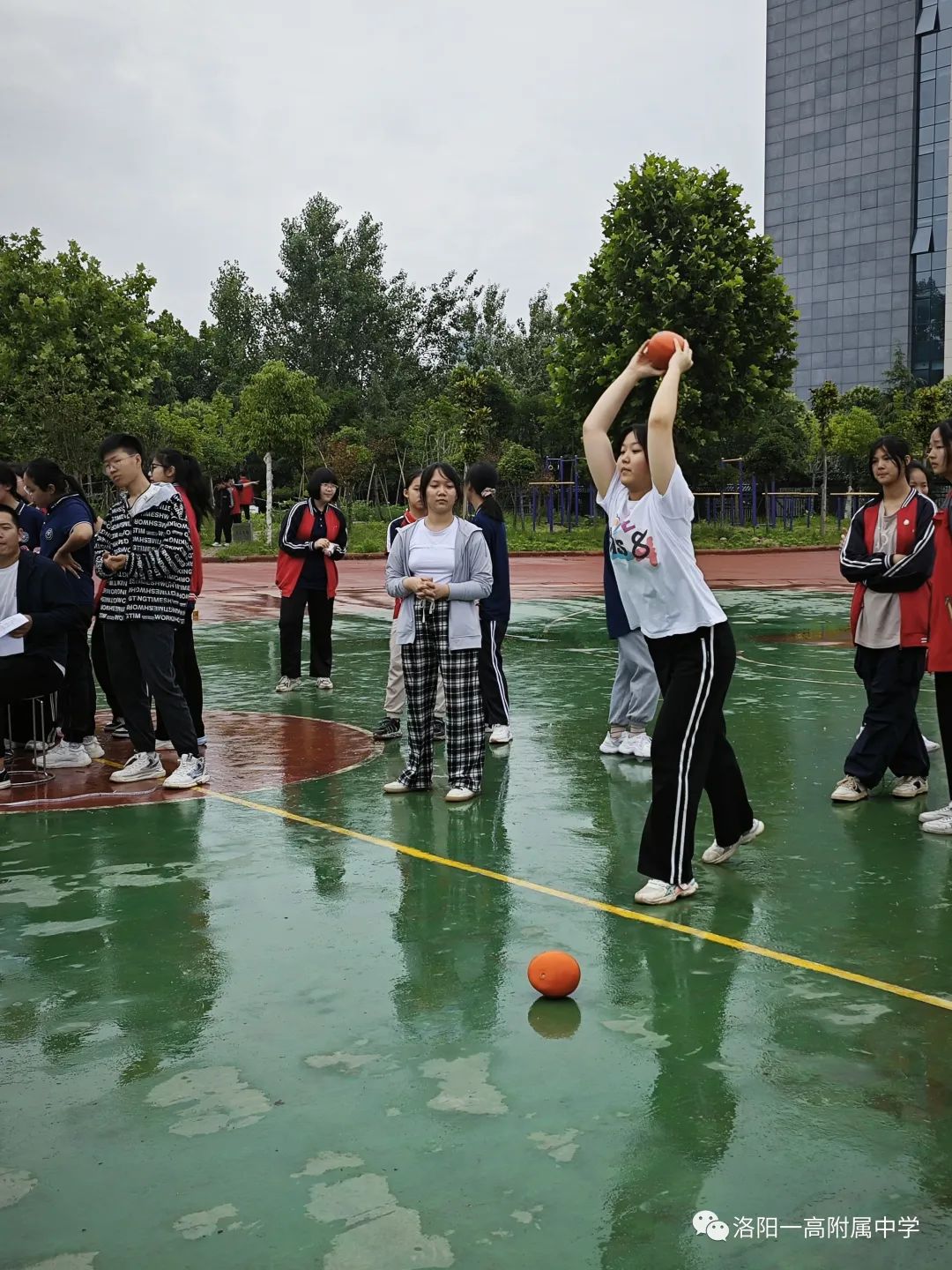 运动健儿展风采,运动展风采视频