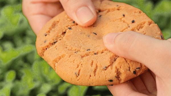 佛山泸溪河,火遍江浙沪泸溪河