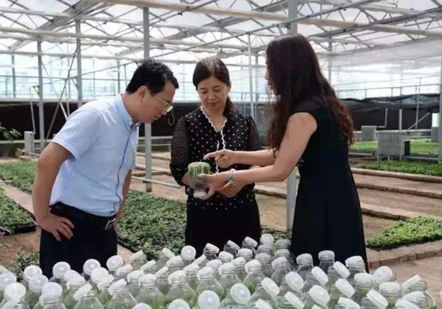 低分捡漏985大学值得吗,适合捡漏的六所985大学