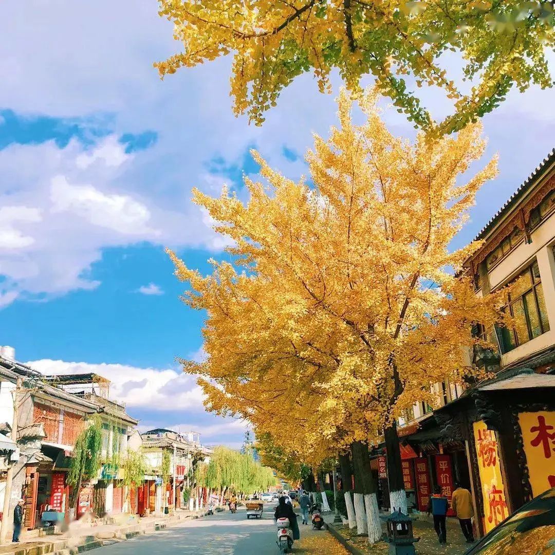 淡季大理堪称人间理想,大理的旺季真实体验