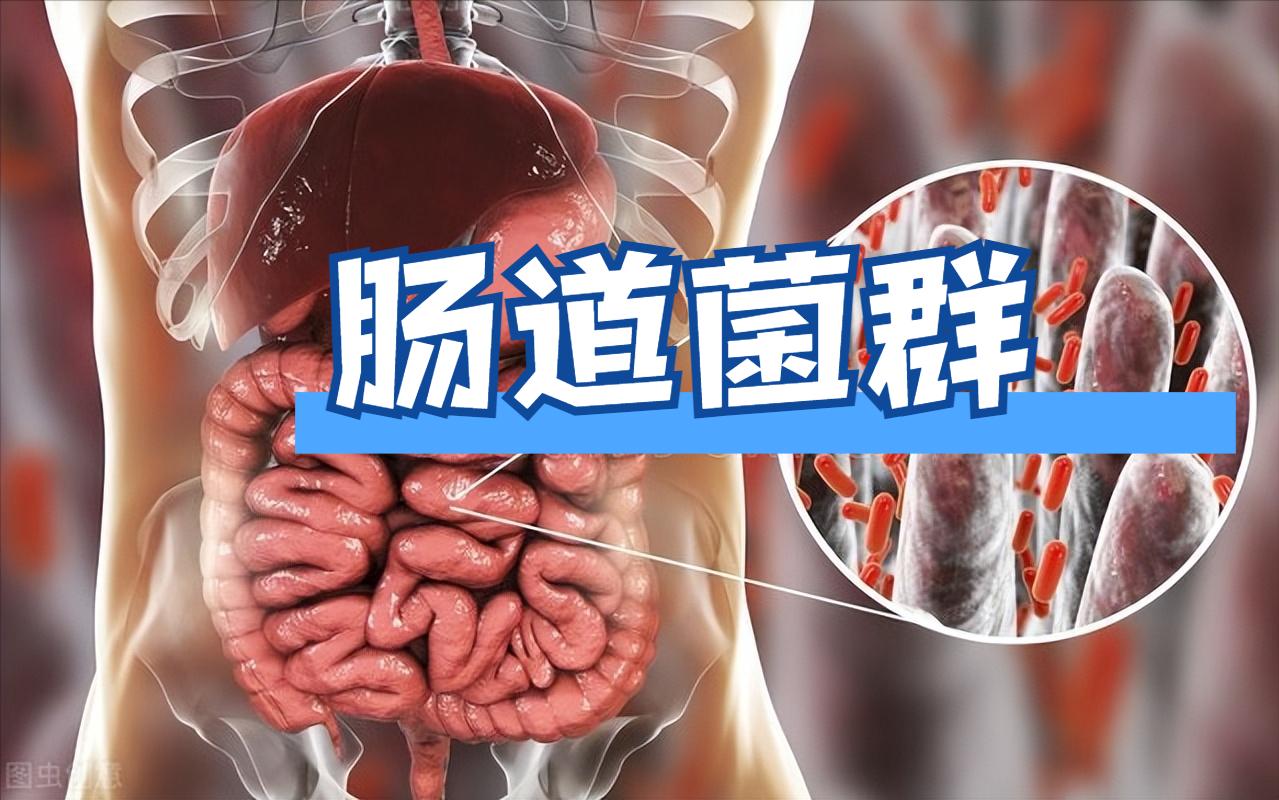 幽门螺旋杆菌怎么治疗？最新研究：益生菌可辅助治疗幽门螺旋杆菌