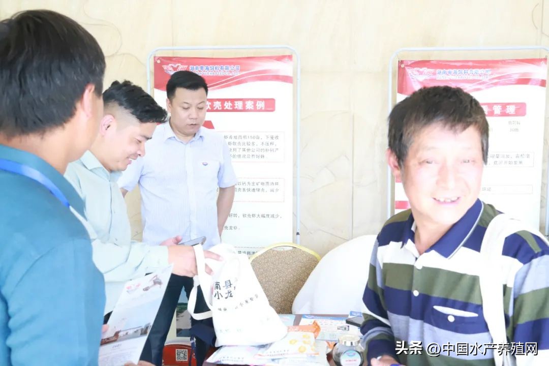 2023年南县小龙虾价格行情,南县小龙虾价格报价