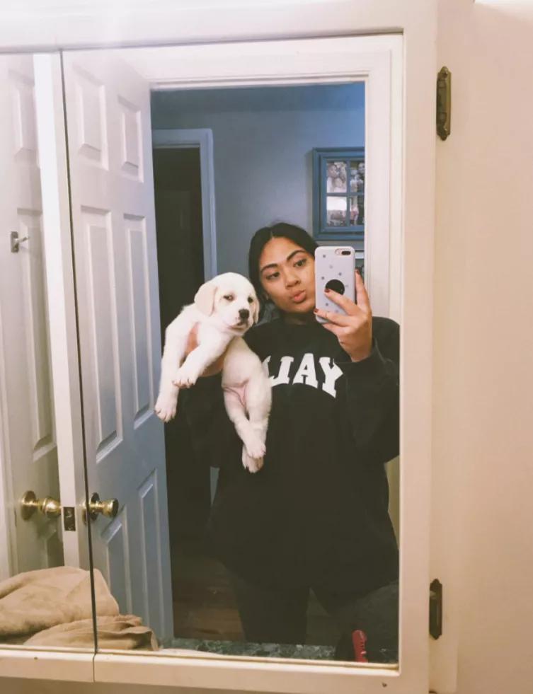 小黄狗长大的过程,小黄狗长大过程