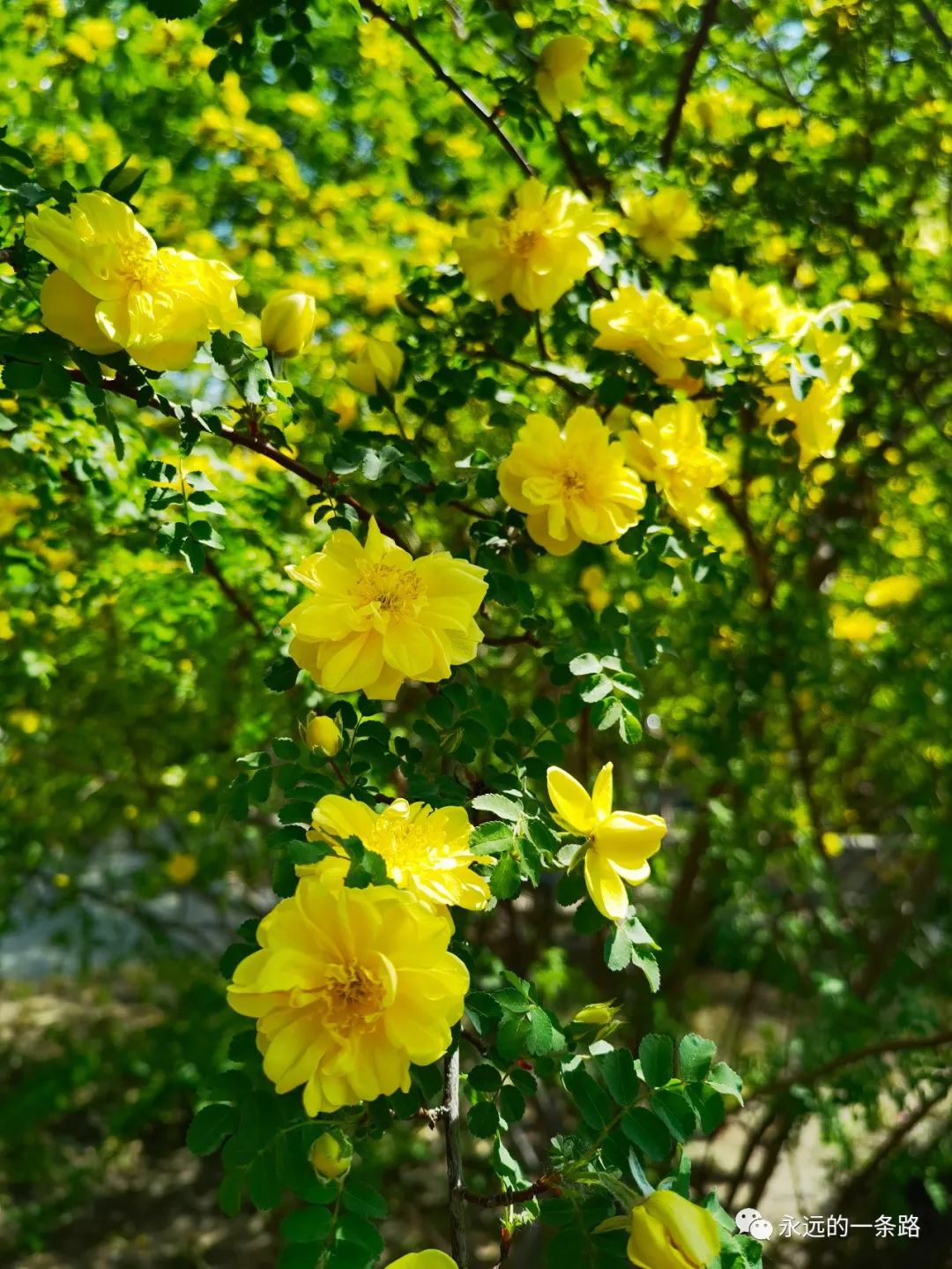 有情绪解决情绪,有情绪尽量别憋着