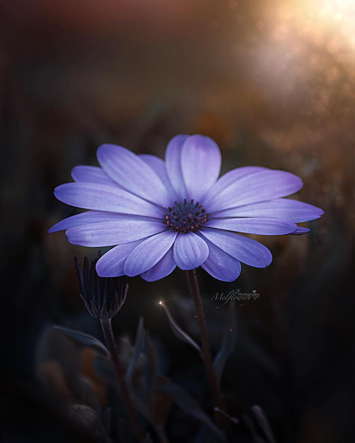 成熟说说男生超拽霸气句子,男生霸气说说经典语录