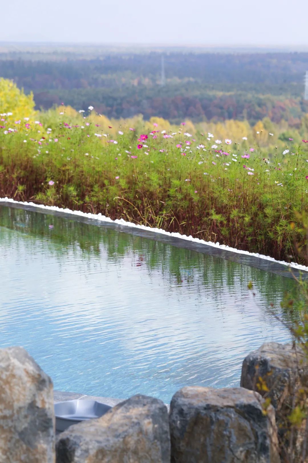 失控玩家2完整版,失控玩家游戏攻略