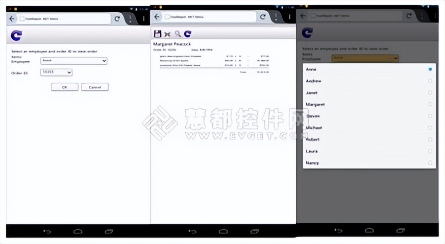 fastreport报表服务器,怎么创建一个fastreport报表