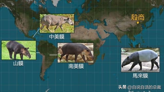 美洲发现象形文字,美洲发现中国古文