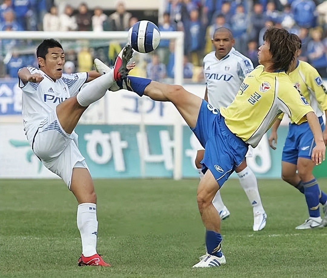 金大仪李玮峰,金大仪与李玮峰