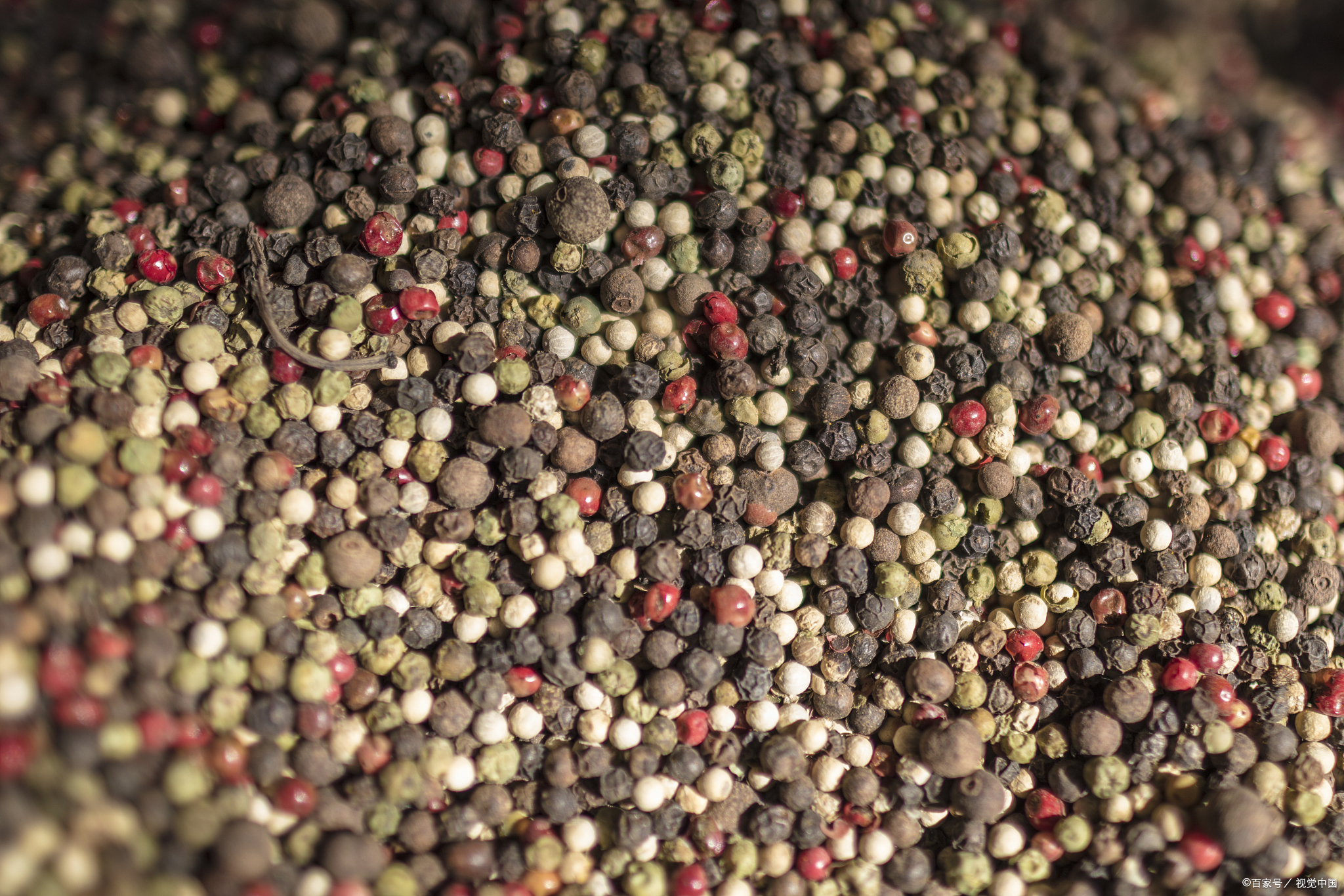 海南省海口市十大特产,海口特产最好品牌有哪些