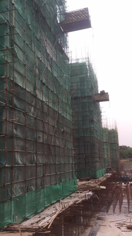 我的1997小说大结局,我的199716集解说