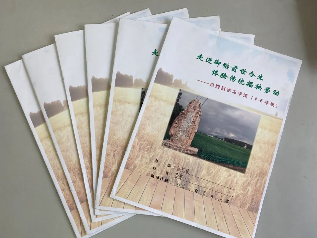 石景山区爱乐实验小学,石景山爱乐实验小学怎么样