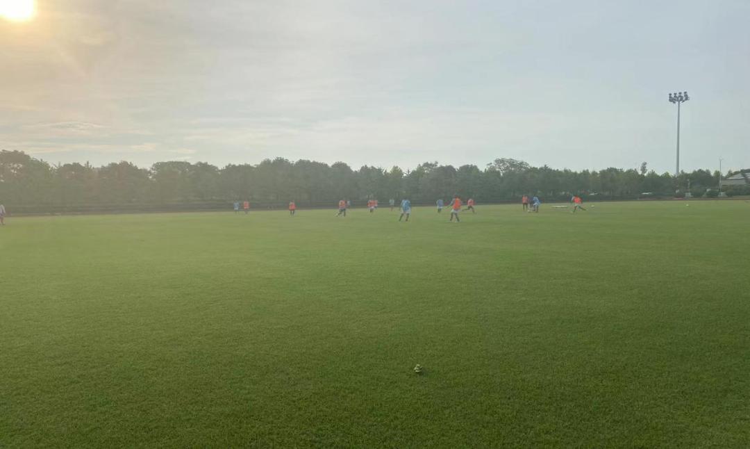 足球知识科普活动,足球知识科普视频教程