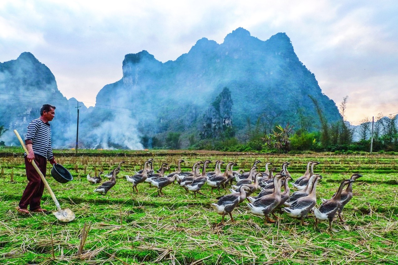 明仕田园有什么风景,明仕田园秘境度假村