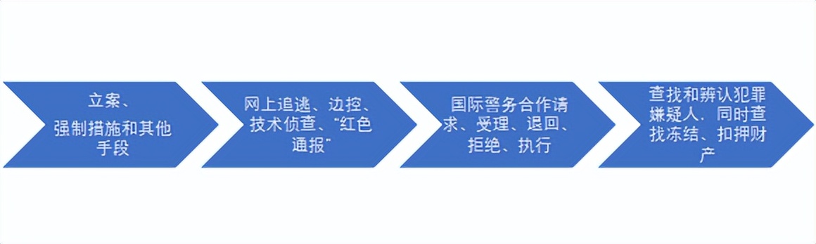 境外追逃追赃法律问题研究,境外追逃追赃经典案例电子书
