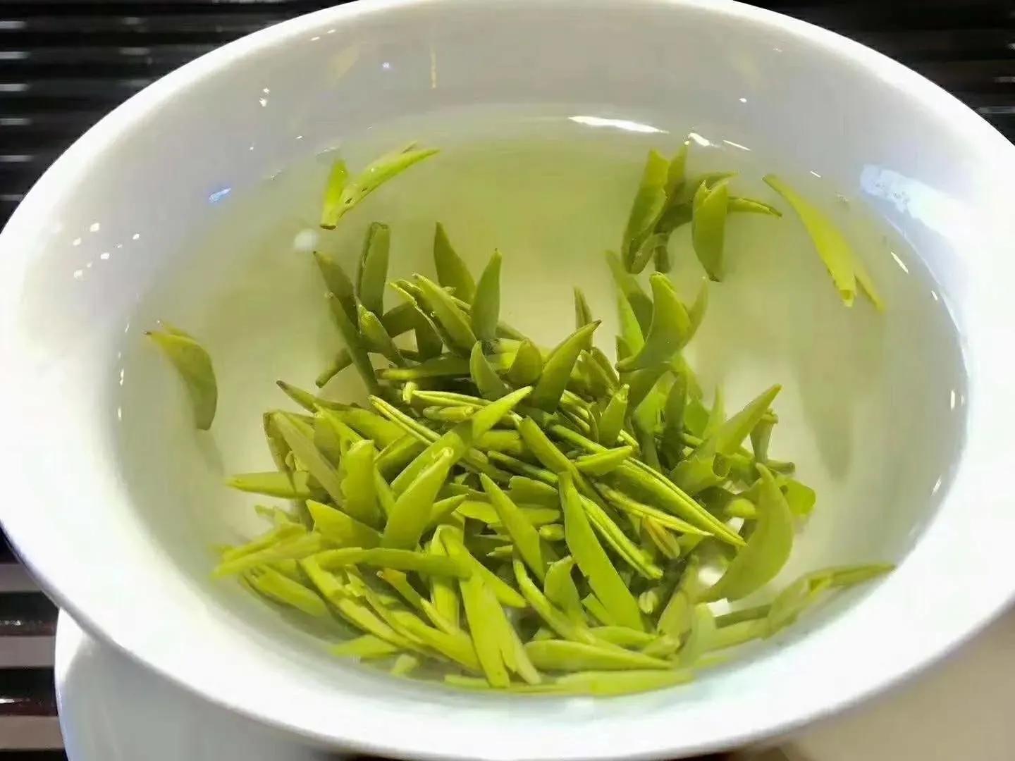 安康紫阳茶有什么牌子,安康富硒茶和紫阳茶哪个好