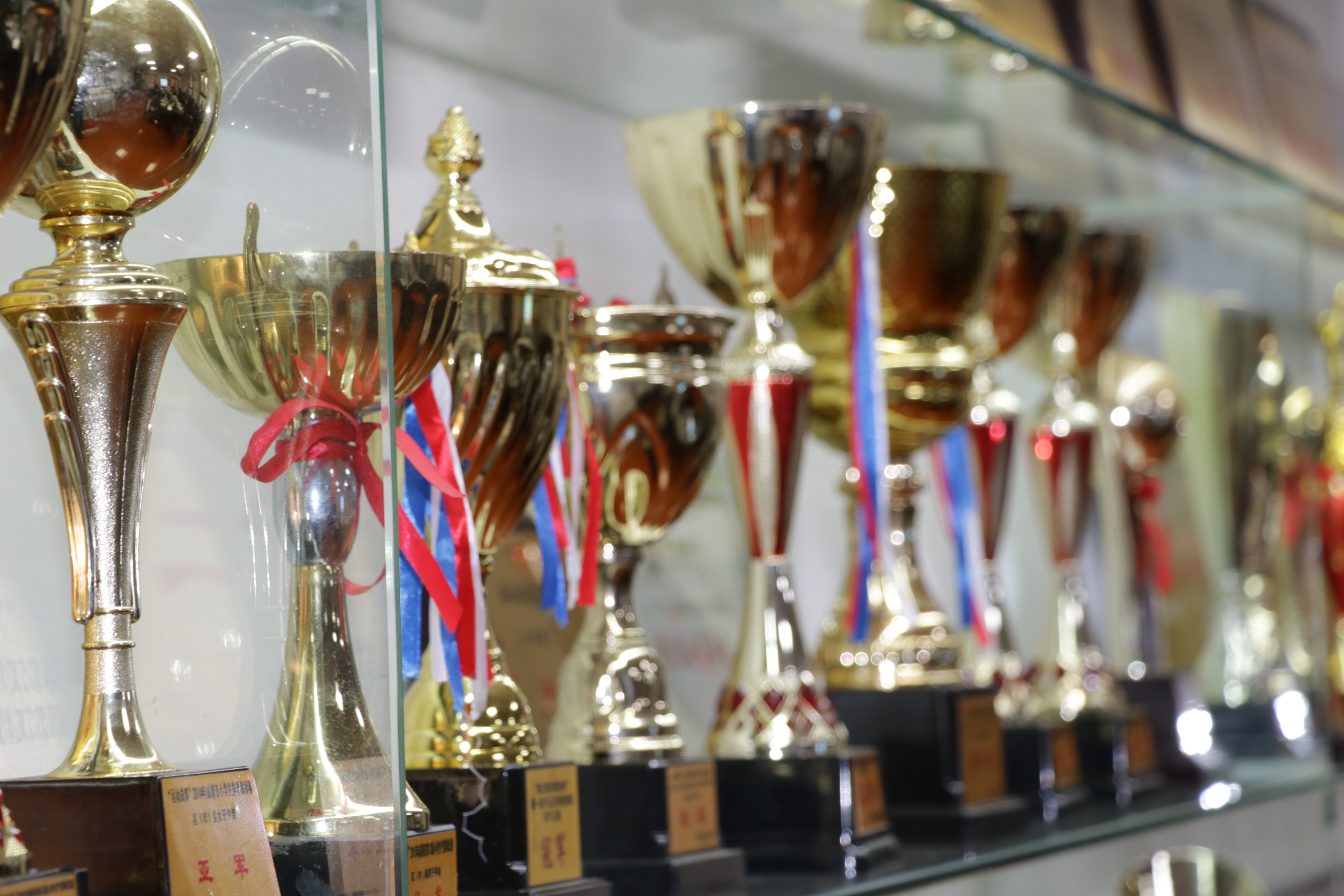 四川省贡嘎杯排球赛小学组,都江堰市石羊小学排球比赛