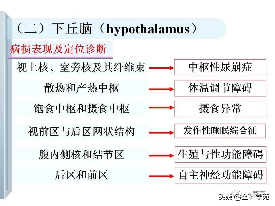 神经系统的影像与解剖定位,最全神经解剖图