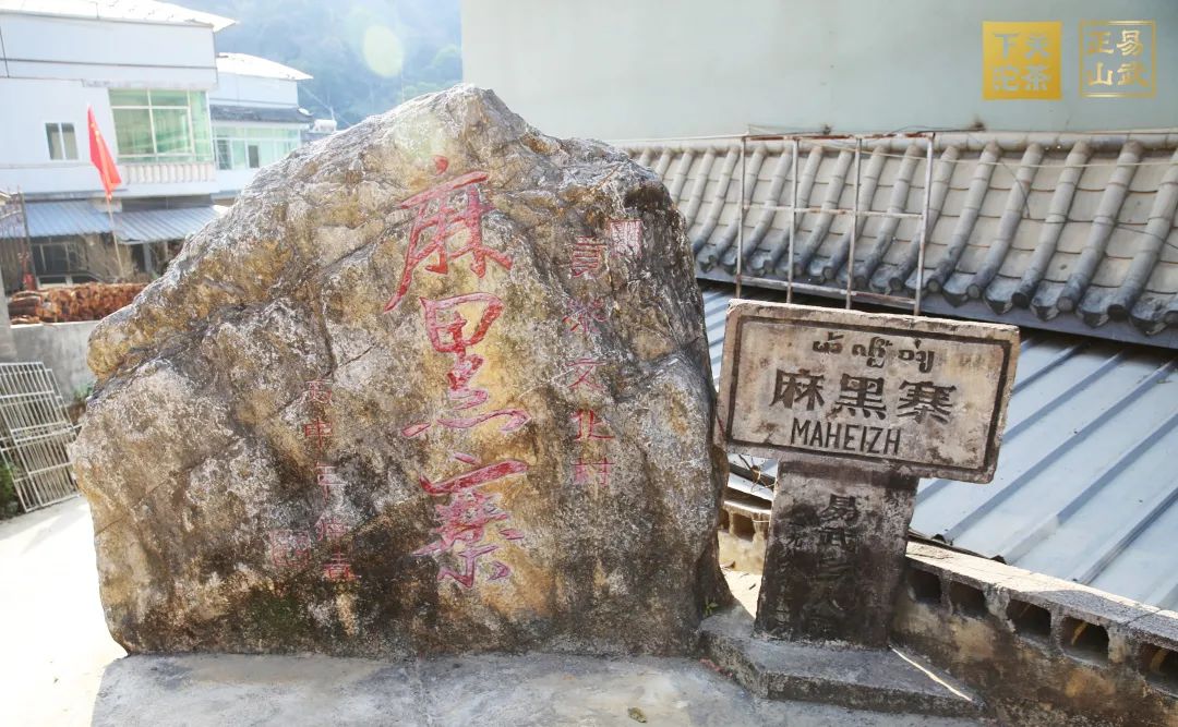 易武正山与易武乔木有何区别,正山小种茶农世家