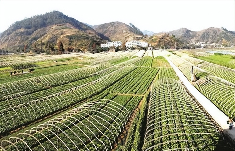 贫困地区农业发展现状,扶贫农业发展前景