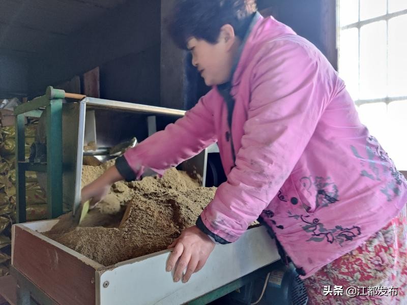 武坚镇温室养殖大户居友宝有本“致富经”——“养甲鱼，要先养水！”