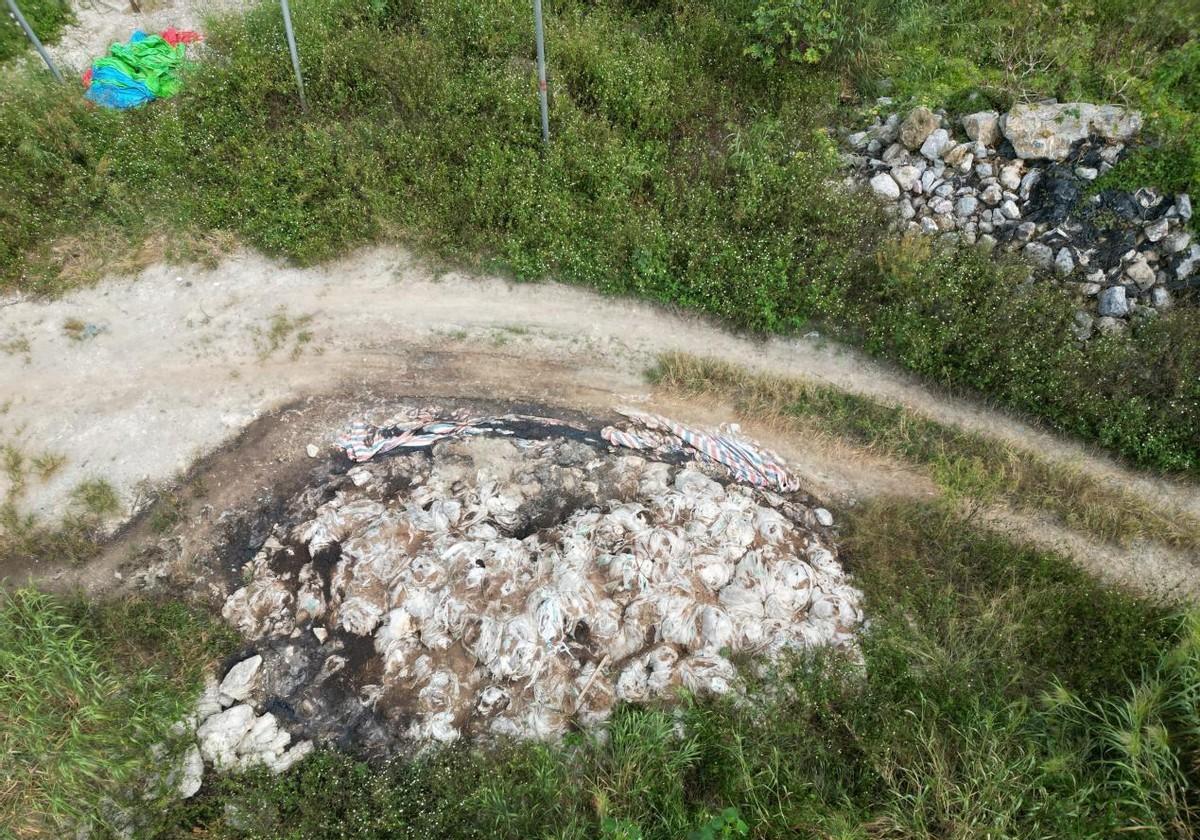 环境污染举报231处,广西崇左市大新县