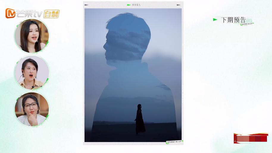 张婉婷宋宁峰最终结果,宋宁峰张婉婷细节分析