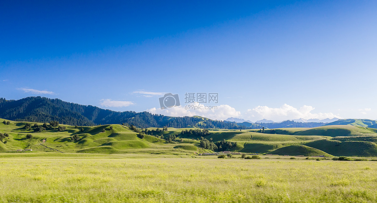 美丽的新疆大美之疆,疆新