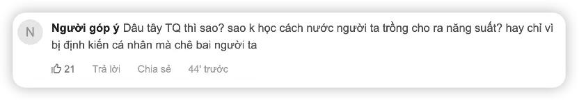 越南生产的草莓,中国草莓出口越南