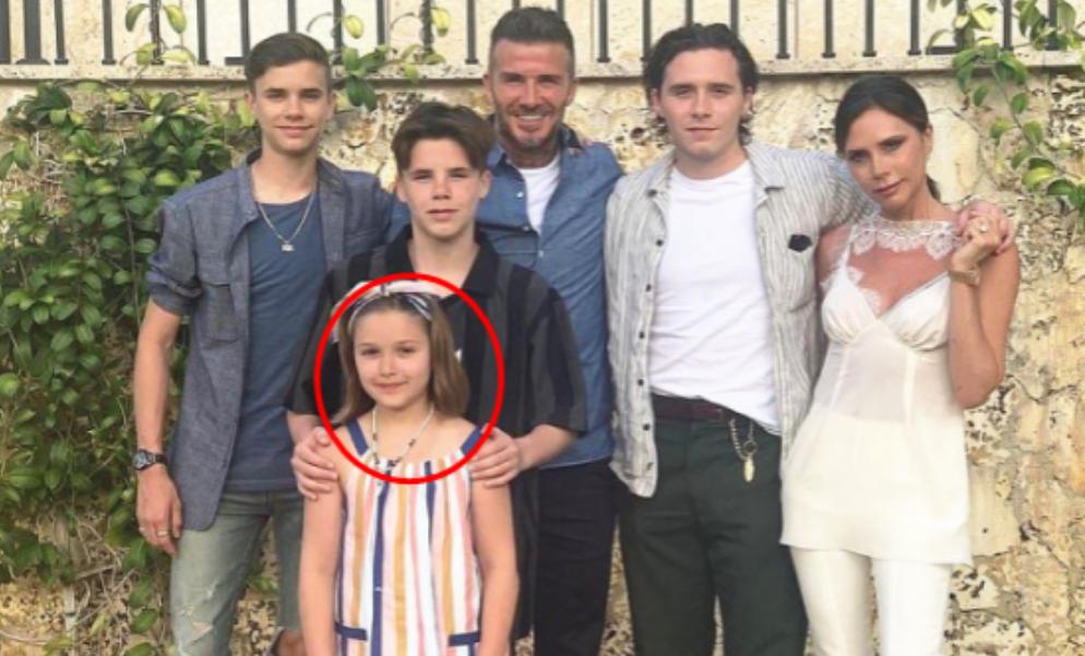 贝小七年轻照片,贝小七5岁生日