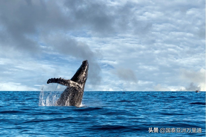 一年四季绝美风景 (关于季节性的旅游景观)